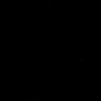 برند شماره 14